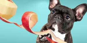 Can Dogs Eat apple peel?