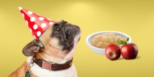 Can Dogs Eat apple sauce?