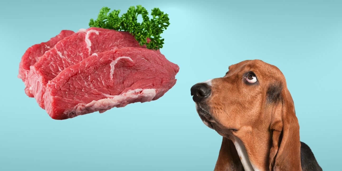 Can Dogs Eat Beef? A Comprehensive Guide