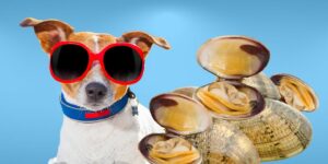 Can Dogs Eat clams?