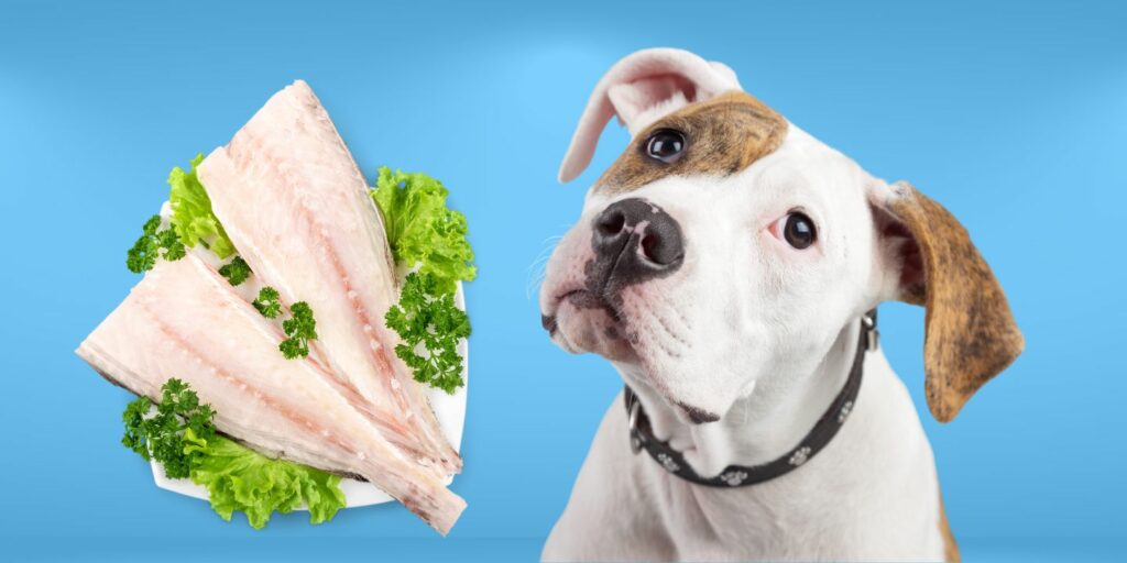 Can Dogs Eat Cooked Salmon? The Dos and Don'ts