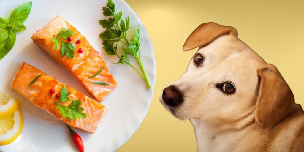 Can Dogs Eat Sardines? The Dos and Don'ts