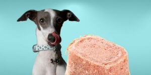 Can Dogs Eat corned beef?