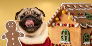 Can Dogs Eat gingerbread?