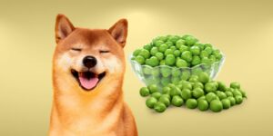 Can Dogs Eat green peas?