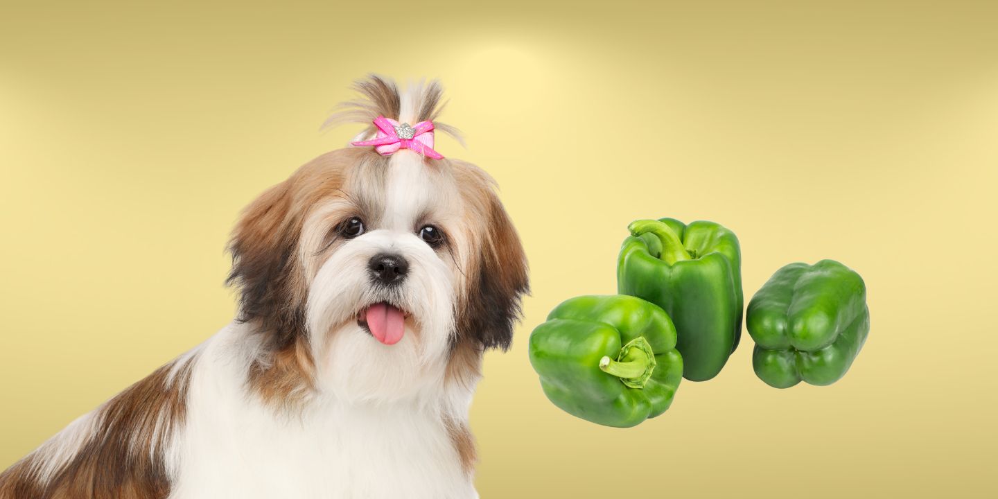 Can Dogs Eat Green Peppers? A Comprehensive Guide