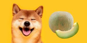 Can Dogs Eat honeydew?