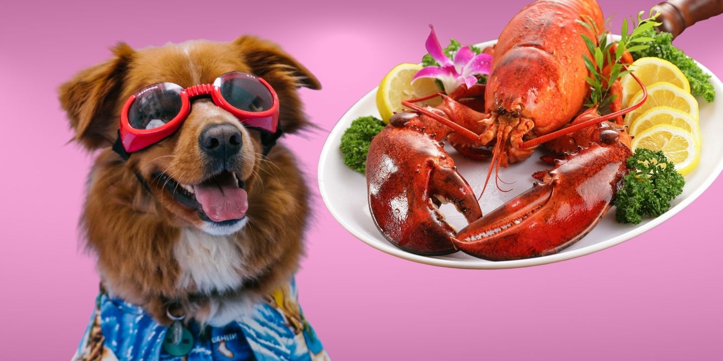 can-dogs-eat-lobster-the-risks-and-benefits