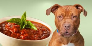 Can Dogs Eat marinara sauce?