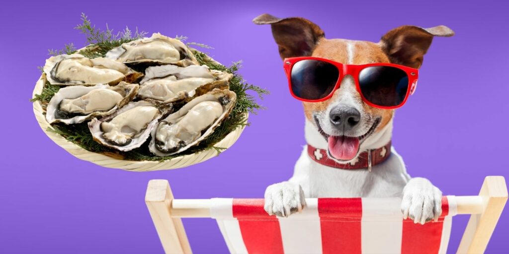 Can Dogs Eat oysters?