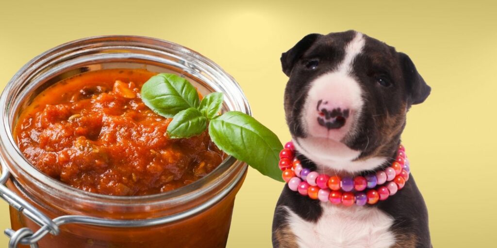 Can Dogs Eat Spaghetti Sauce? The Risks And Dangers