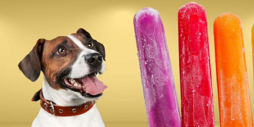 Can Dogs Eat popsicles?