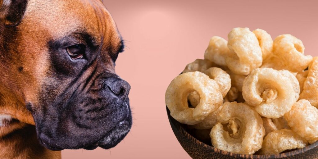 Can Dogs Eat pork rinds?