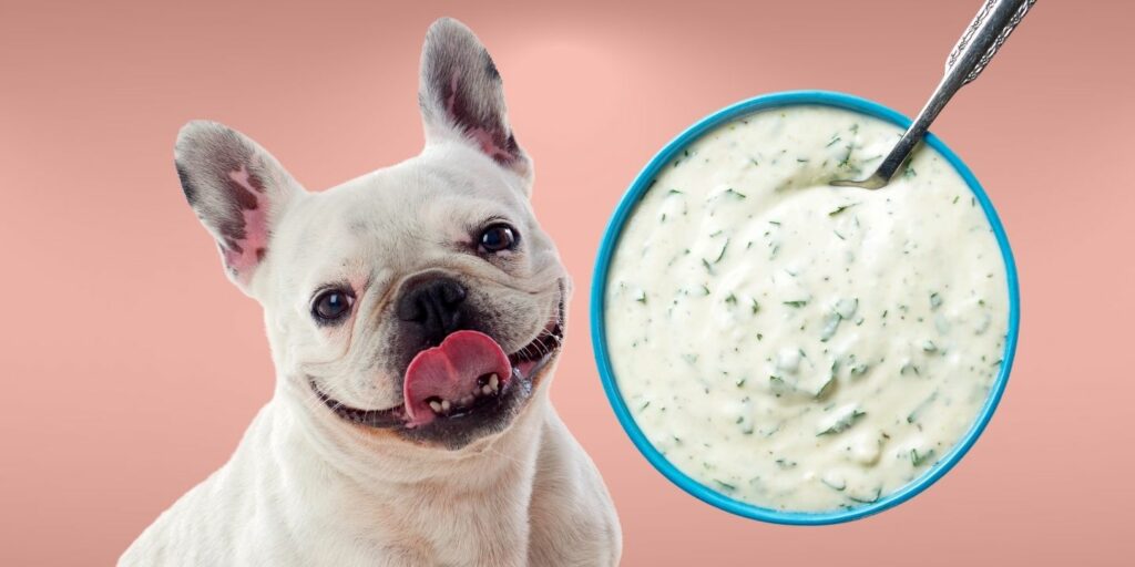 Can Dogs Eat ranch?