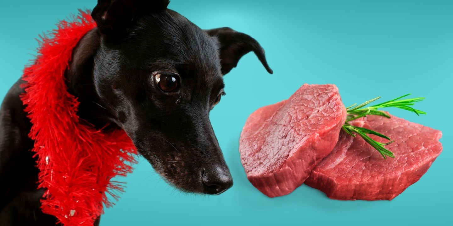 Can Dogs Eat Raw Beef? A Comprehensive Guide