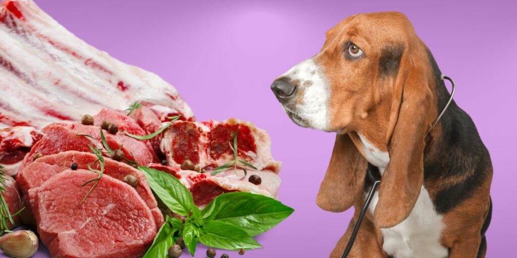 Feeding Raw Meat To Dogs Health Risks