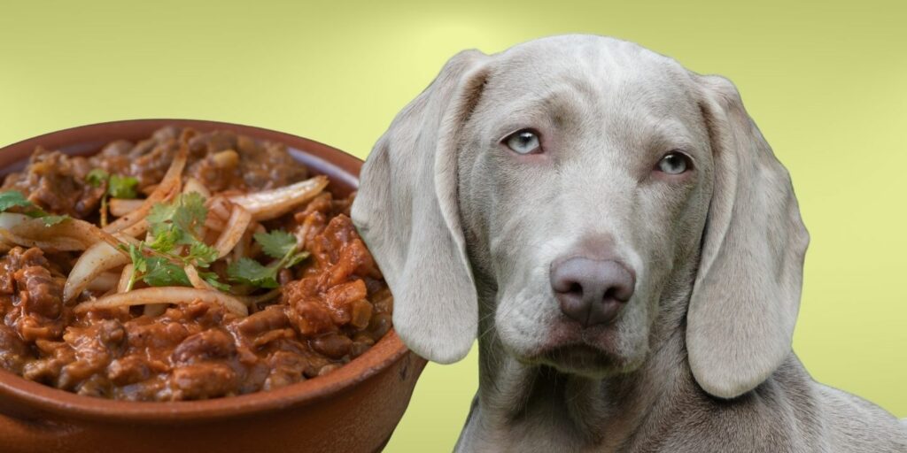 Can Dogs Eat refried beans?
