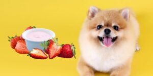 Can Dogs Eat strawberry yogurt?