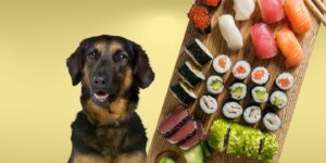 Can Dogs Eat sushi?