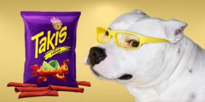 Can Dogs Eat takis?