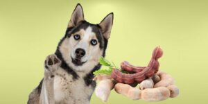 Can Dogs Eat tamarind?