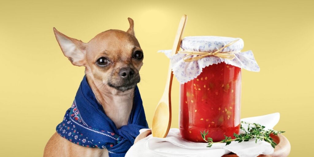 Can Dogs Eat tomato sauce?