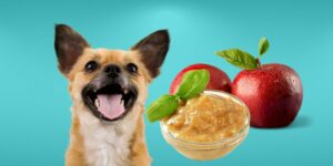Can Dogs Eat unsweetened applesauce?