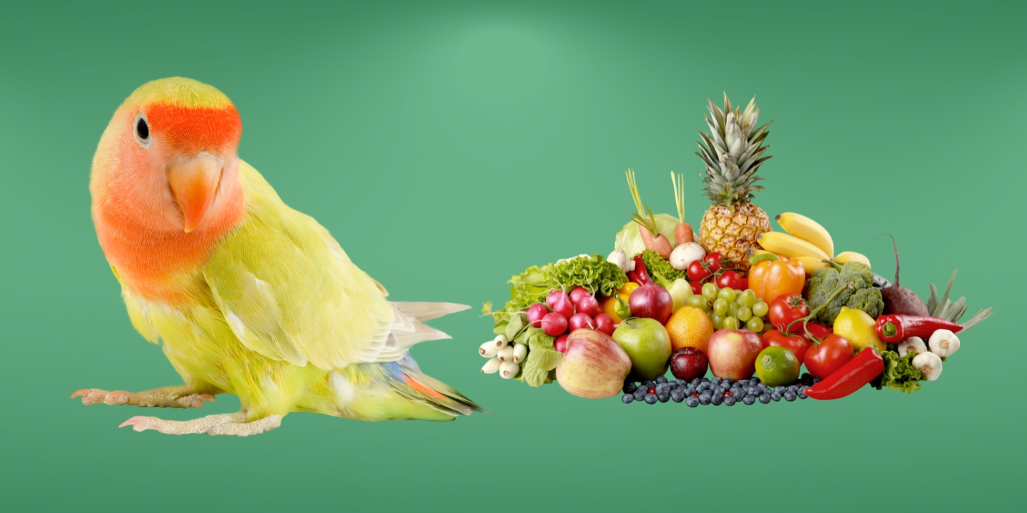 Pets Food Safety Make Healthy Nutrition Choices