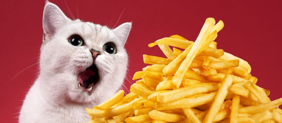 Can Cats Eat french fries?