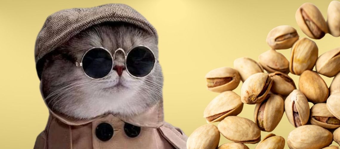 Can Cats Eat pistachios?