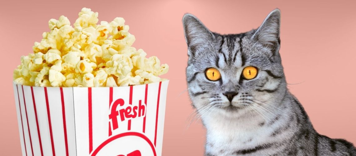Can Cats Eat popcorn?