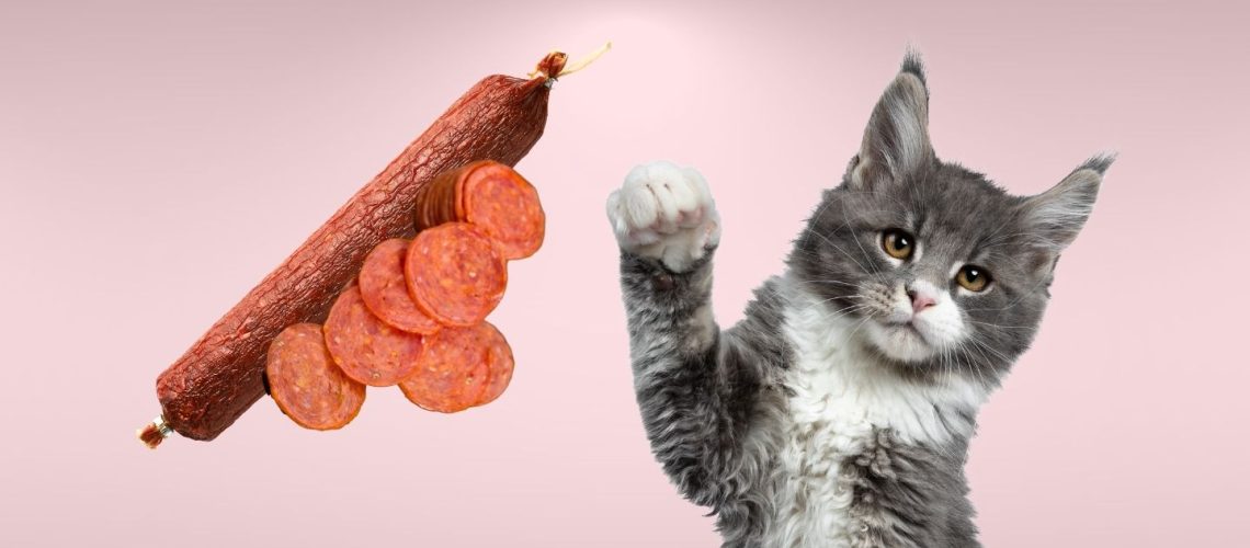 Can Cats Eat sausage?