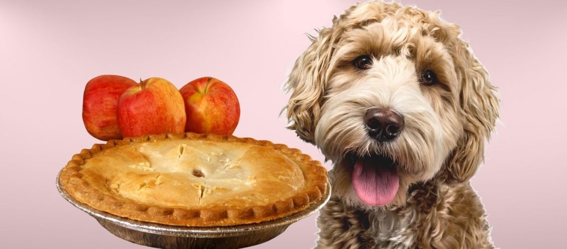 Can Dogs Eat apple pie?