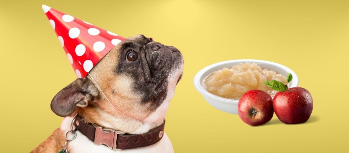 Can Dogs Eat apple sauce?