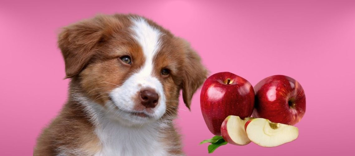 Can Dogs Eat apples?