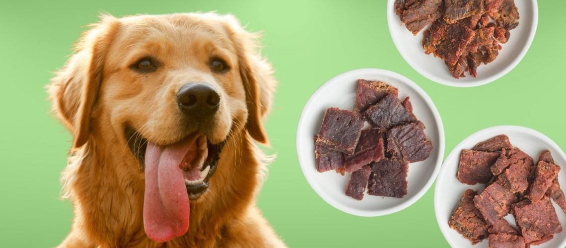 Can Dogs Eat beef jerky?