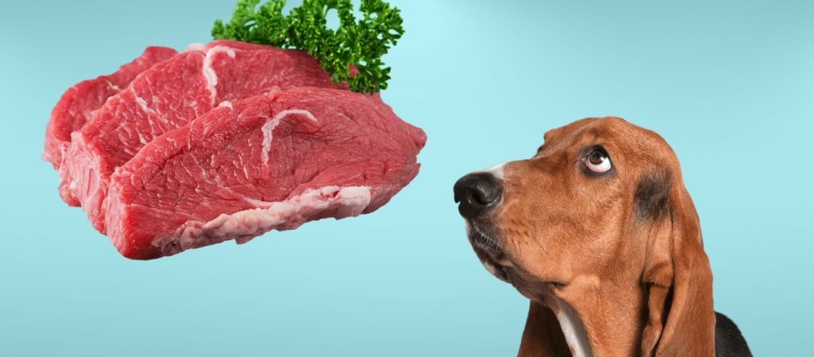 Can Dogs Eat Beef? A Comprehensive Guide