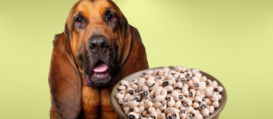 Can Dogs Eat black eyed peas?