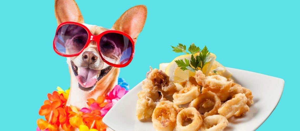 Can Dogs Eat calamari?