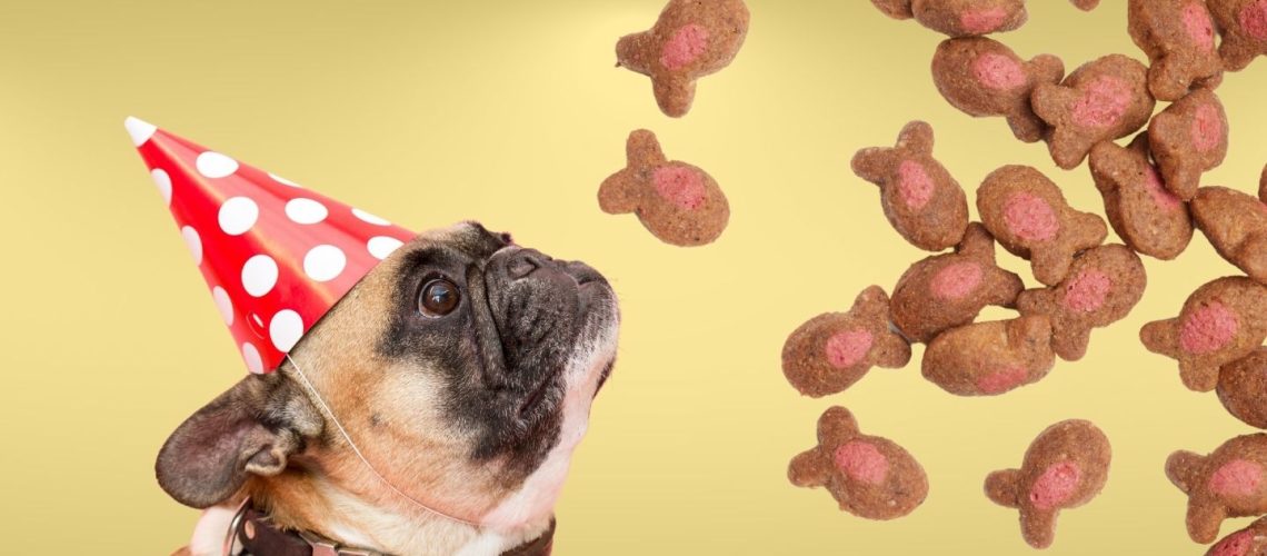 Immediate Effects: What Happens When Dogs Eat Cat Food