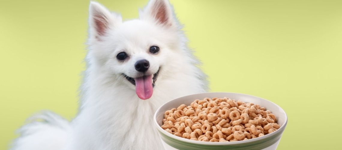 Can Dogs Eat cheerios?