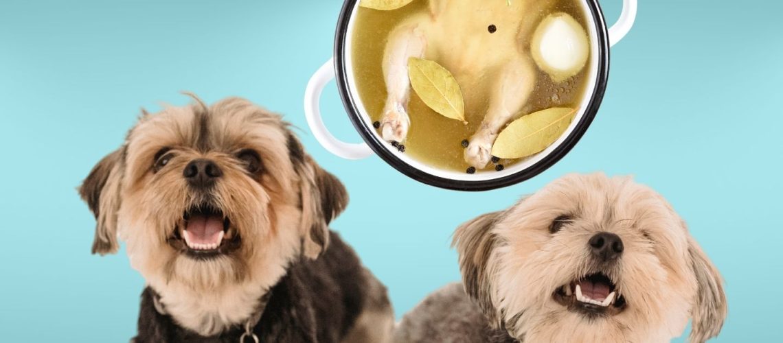 Can Dogs Eat chicken broth?