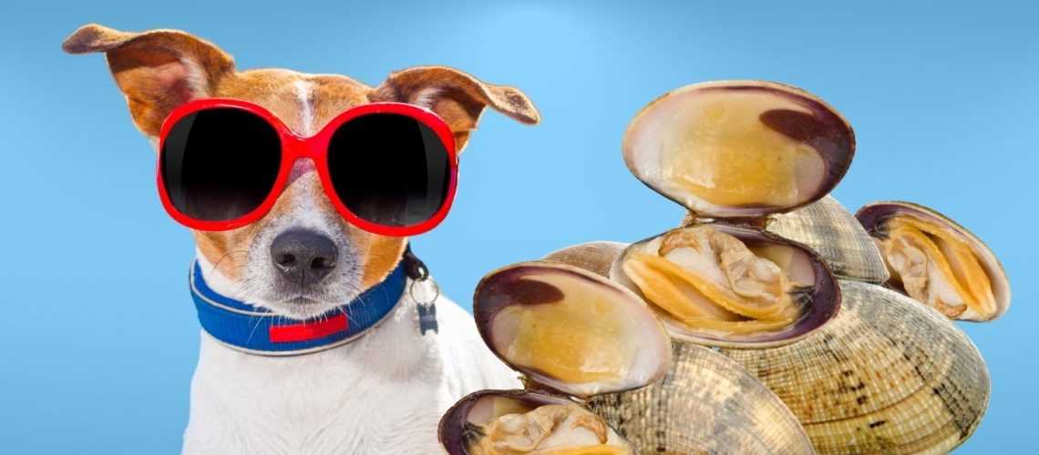 Can Dogs Eat clams?