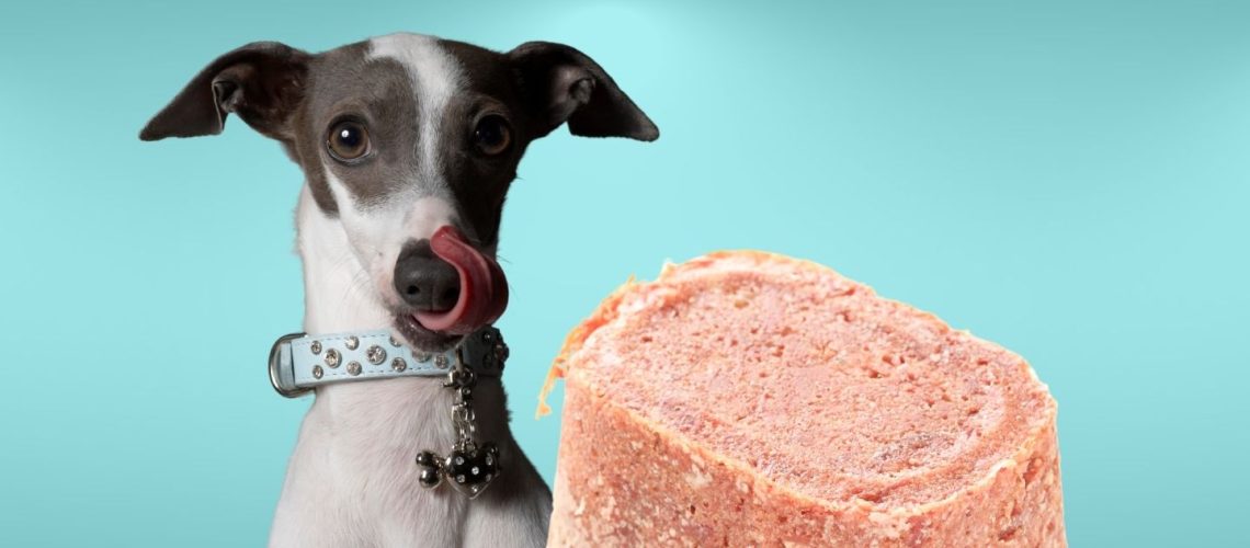 Can Dogs Eat corned beef?