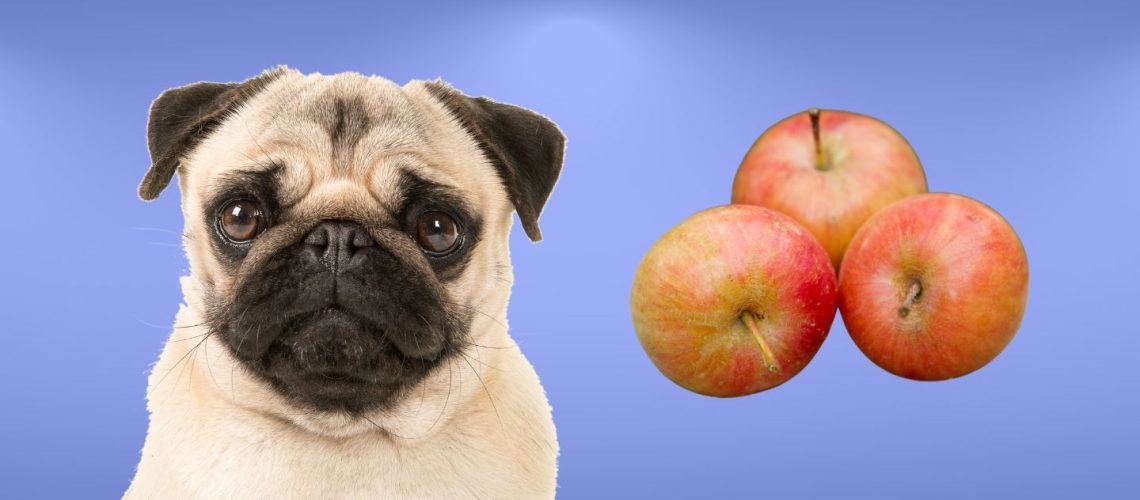 can a dog eat crab apples