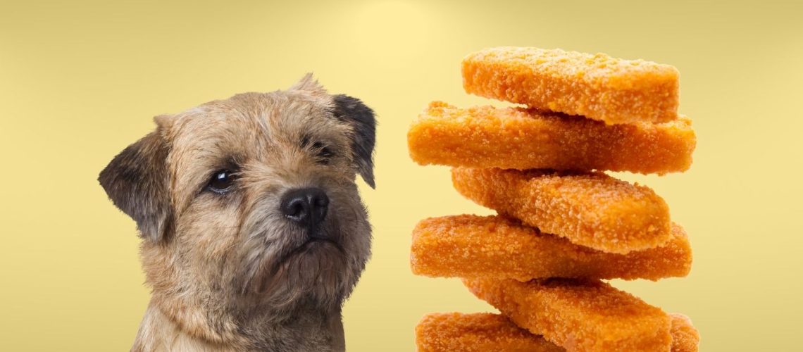 Can Dogs Eat fish sticks?