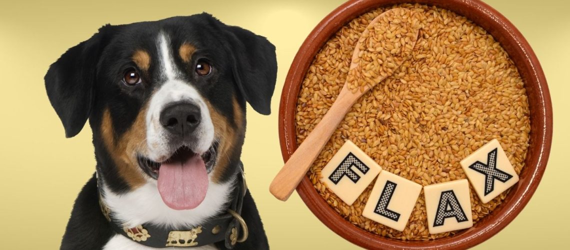 Can Dogs Eat flax seeds?