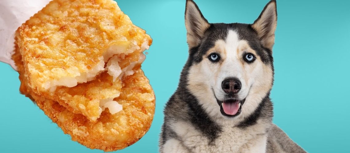 Can Dogs Eat hash browns?