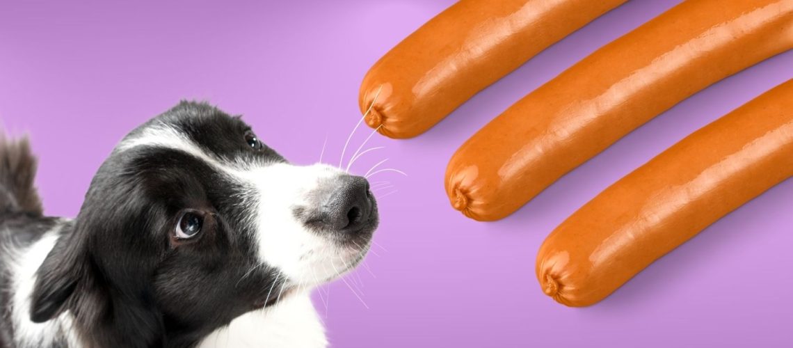 Can Dogs Eat hot dogs?