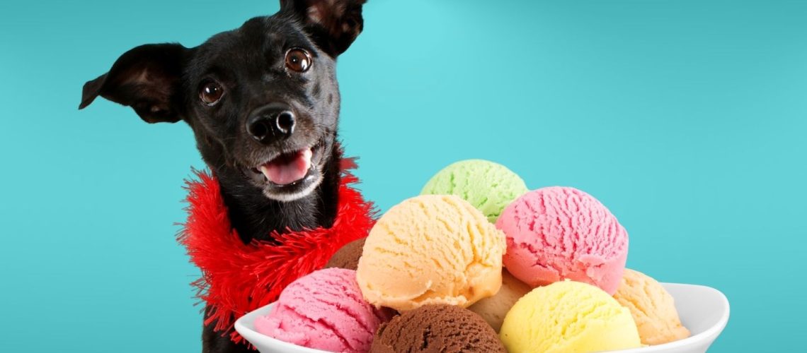 Can Dogs Eat ice cream?